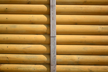 Image showing Texture of wood pattern  background, low relief texture