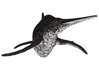 Image showing Ichthyosaur Shonisaurus