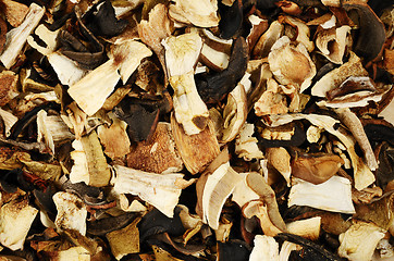 Image showing top view of mixed dried mushrooms