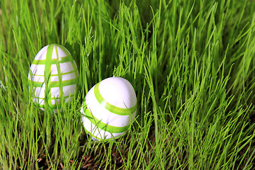 Image showing easter eggs in grass