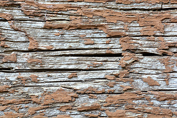 Image showing wood texture. background old panels