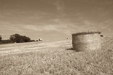 Image showing Hay bales