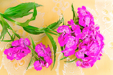 Image showing Bright pink flowers of a carnation against yellow silk.