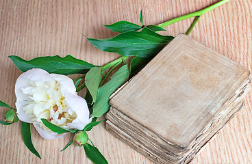 Image showing Still life: ancient book and white flower of a peony.