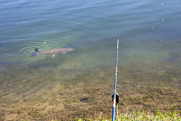 Image showing Fishing in a lake 