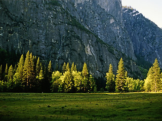 Image showing Yosemite National Park