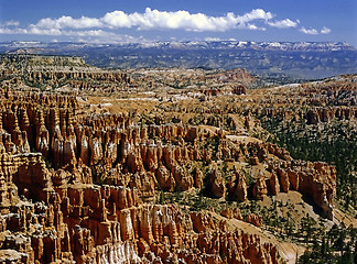 Image showing Bryce Canyon