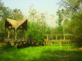 Image showing Thai jungle