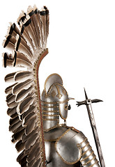 Image showing Armour
