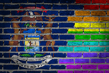 Image showing Dark brick wall - LGBT rights - Michigan