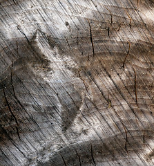 Image showing  Cracked wood