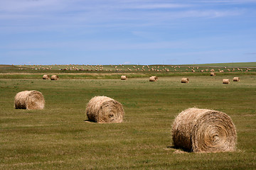 Image showing Rural landscape of Canada