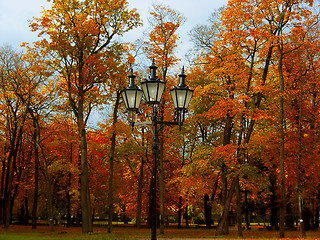 Image showing Park in autumn