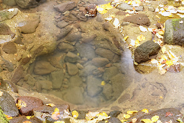 Image showing Lake in autumn