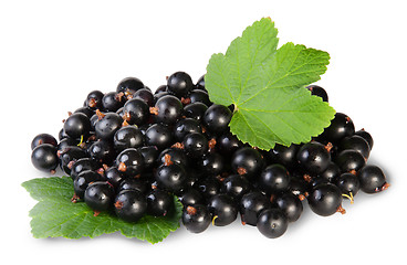 Image showing Bunch Of Black Currant With Two Leafs