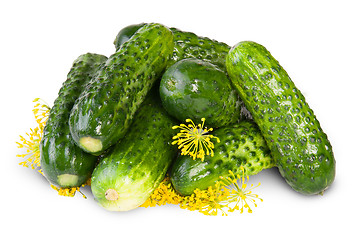 Image showing Fresh Cucumbers And Dill