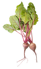 Image showing Two Beet Roots