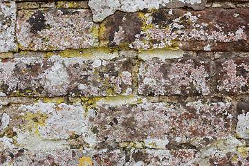 Image showing Weathered brick wall covered in lichen 