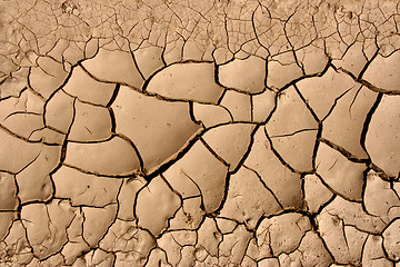 Image showing Desert background
