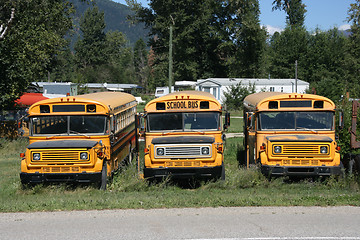 Image showing Old school buses