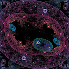 Image showing Symmetrical growth of bacteria