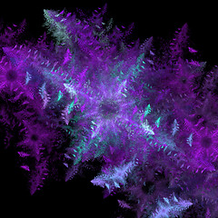 Image showing Symmetrical growth of bacteria