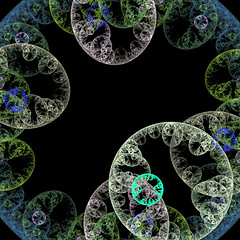 Image showing Symmetrical growth of bacteria