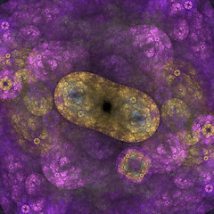 Image showing Symmetrical growth of bacteria