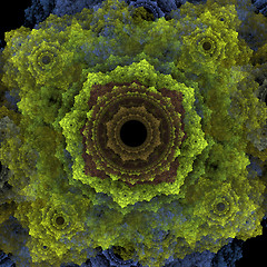 Image showing Symmetrical growth of bacteria