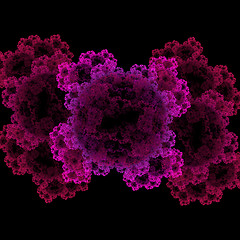 Image showing Symmetrical growth of bacteria