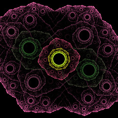 Image showing Symmetrical growth of bacteria