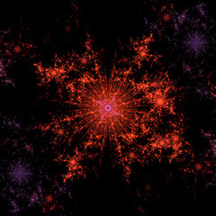 Image showing Symmetrical growth of bacteria