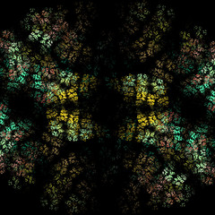 Image showing Symmetrical growth of bacteria