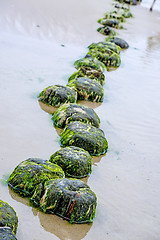 Image showing Groin in the Baltic Sea 