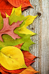 Image showing Frame of Autumn Leafs