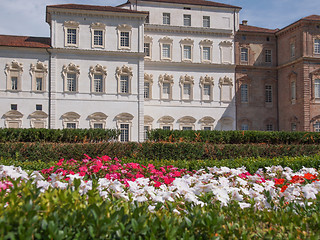 Image showing Reggia di Venaria