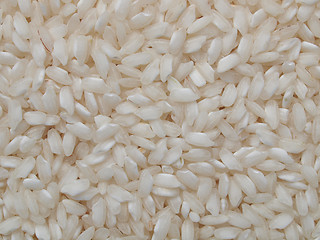 Image showing Rice food