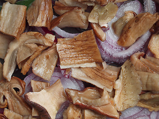 Image showing Porcini Mushroom