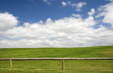 Image showing Green meadow