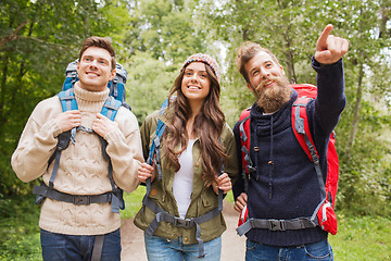 Image showing group of smiling friends with backpacks hiking