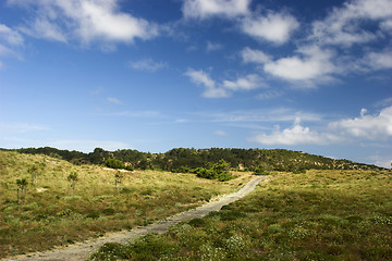 Image showing Wood path