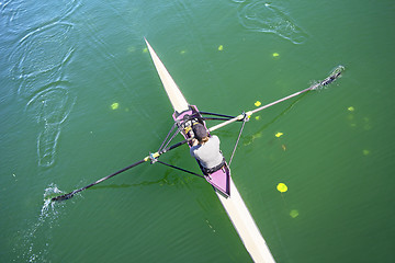 Image showing The woman rower