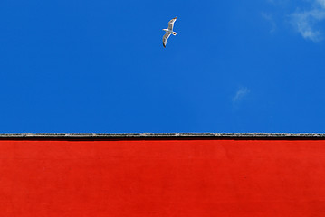 Image showing Seagull in the blue.