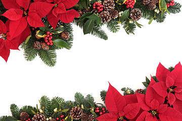 Image showing Christmas Floral Border