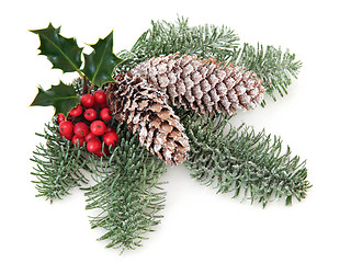 Image showing Christmas Greenery