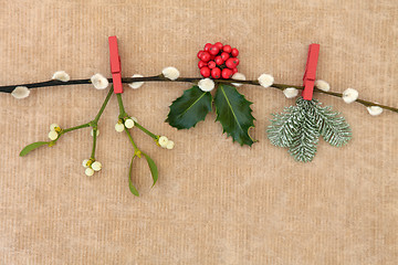 Image showing Christmas Flora