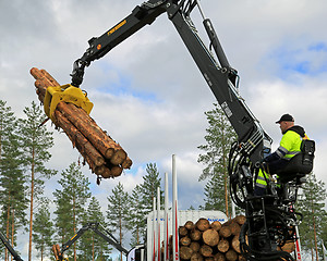 Image showing Competitor stacking wood in Finnish Log Loading Championships 20