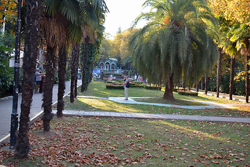 Image showing The alley in Riviera park in