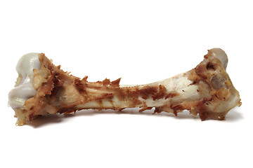 Image showing Isolated bone