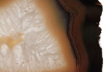 Image showing white and brown agate texture